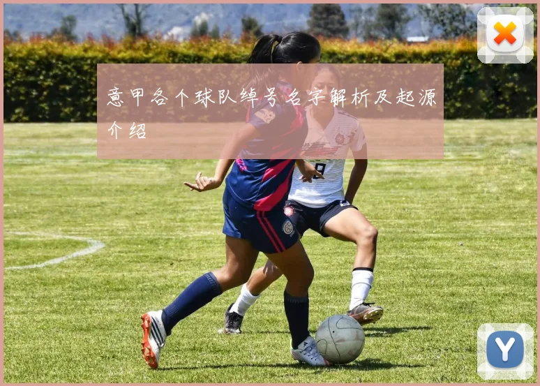 意甲各个球队绰号名字解析及起源介绍