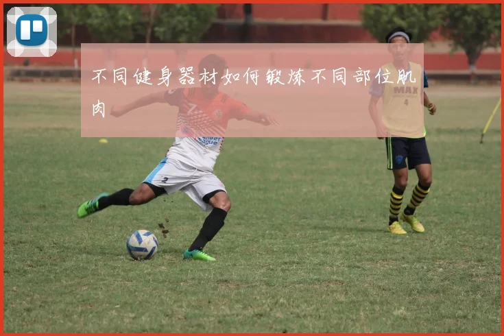 不同健身器材如何锻炼不同部位肌肉