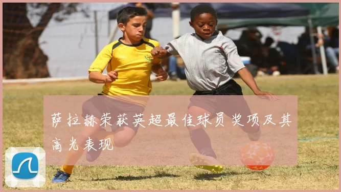 萨拉赫荣获英超最佳球员奖项及其高光表现