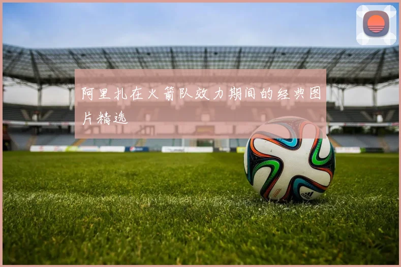 阿里扎在火箭队效力期间的经典图片精选