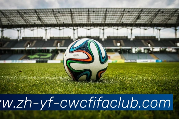 世界杯竞猜平台生态图