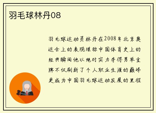 羽毛球林丹08