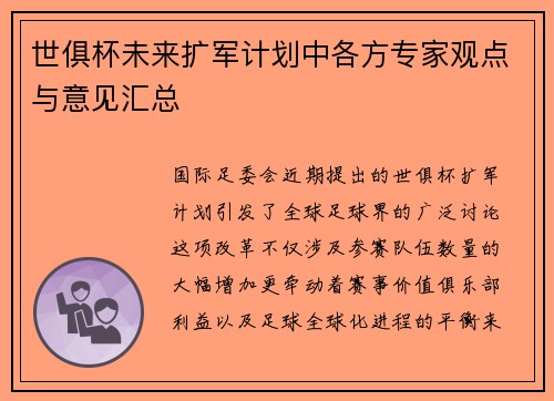 世俱杯未来扩军计划中各方专家观点与意见汇总
